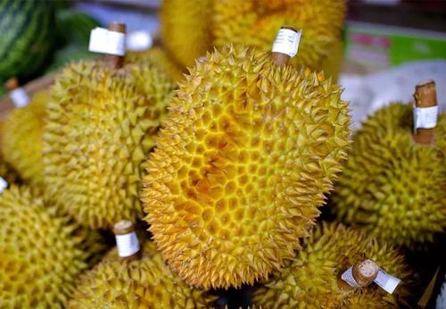 1570497415214932.jpg 榴蓮進(jìn)口報(bào)關(guān)