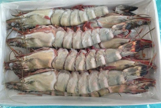 1584151041806895.jpg timg (2)_副本.jpg