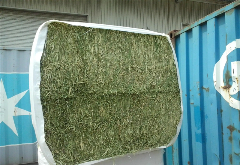 1652697435914949.png 苜蓿草進口報關代理公司 (2).png