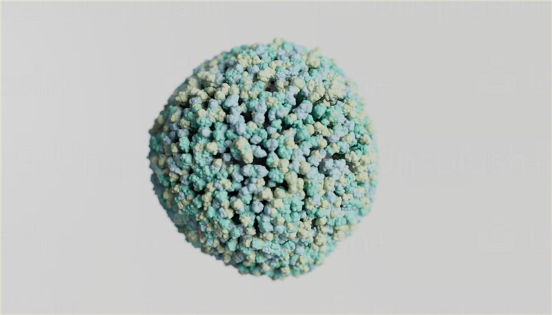 1677151602516365.png 美國(guó)細(xì)胞進(jìn)口報(bào)關(guān).png