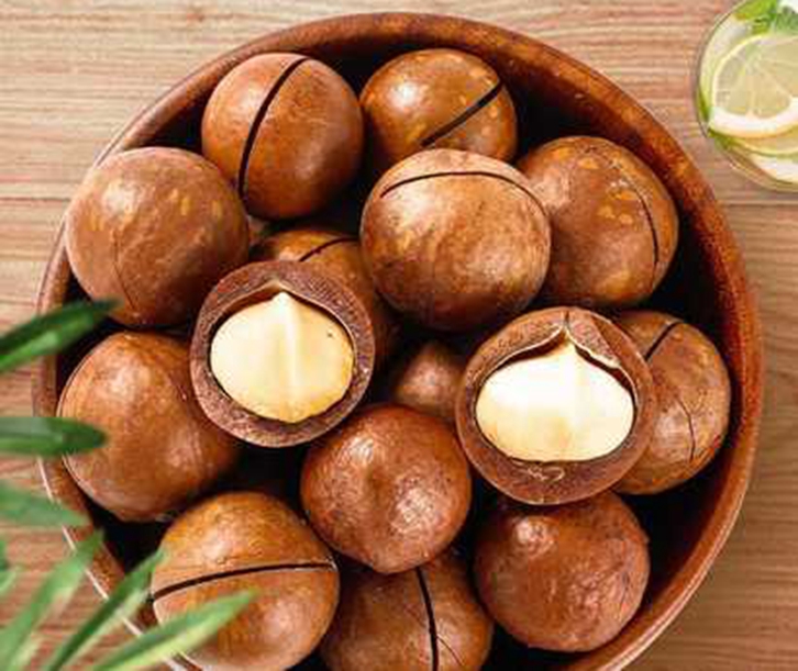 南非夏威夷果進口報關(guān)